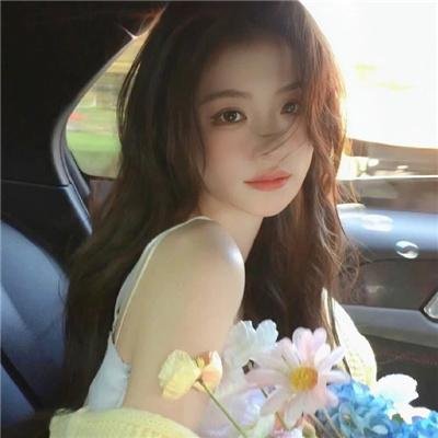 蒂科与鲨鱼